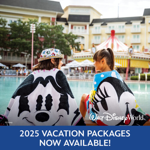 Walt Disney World Adds New Water Park Perk for Resort Guests 2025 Packages Available